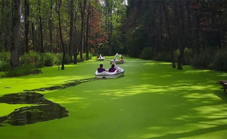 سفرنامه تور 1روزه رشت گردی