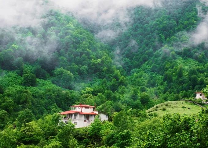 تور سازمانی شمال