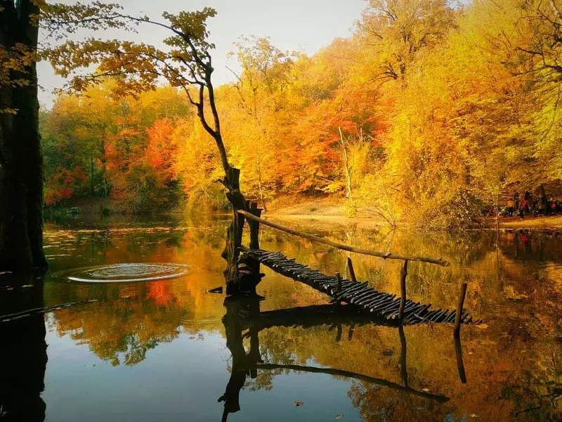 تور سازمانی شمال یک روزه 🏖 مرداب هسل + ساحل خزر