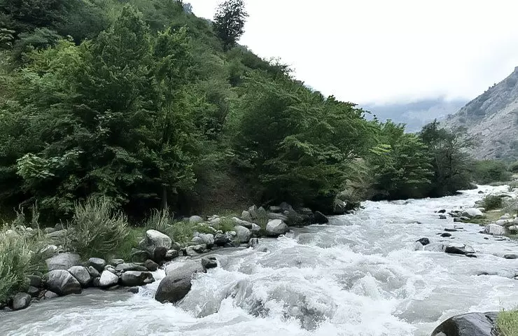 سافاری ونداربن علم کوه