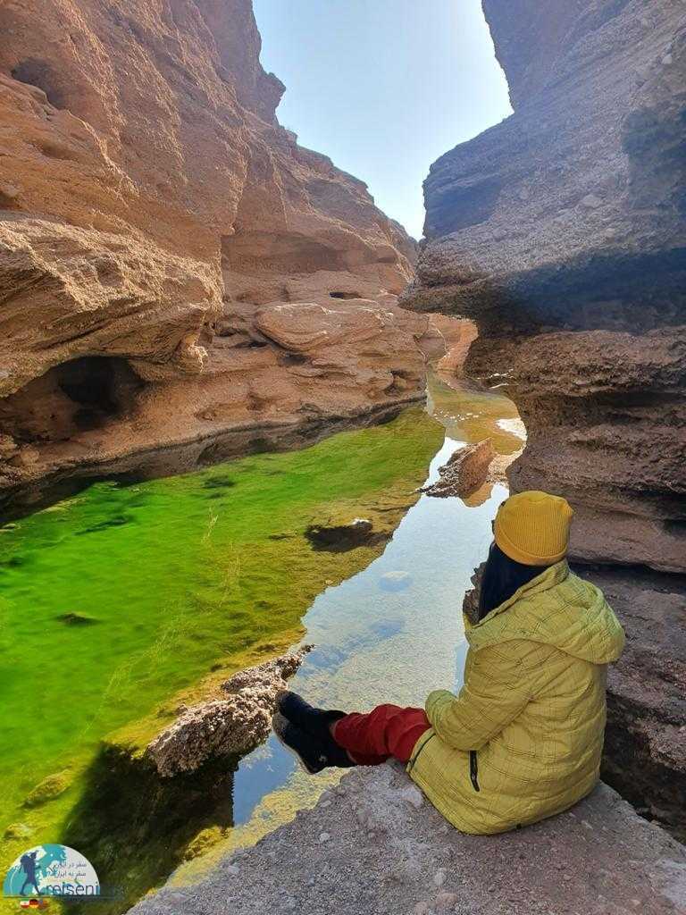 طبس تا کال جنی فولبرد